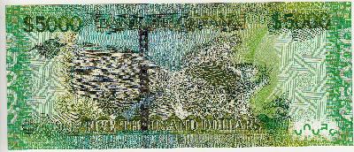 Beschrijving achterzijde: BIRD